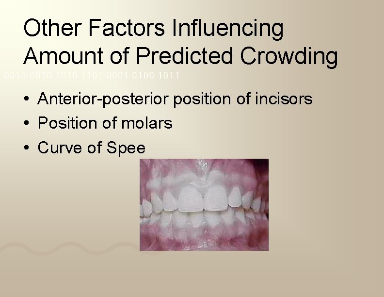 Other Factors Influencing Amount of Predicted Crowding • Anterior-posterior position of incisors • Position