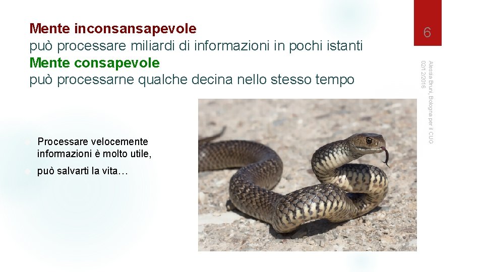  Processare velocemente informazioni è molto utile, può salvarti la vita… 6 Alessia Bruni,