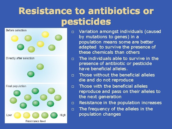 Resistance to antibiotics or pesticides Variation amongst individuals (caused by mutations to genes) in