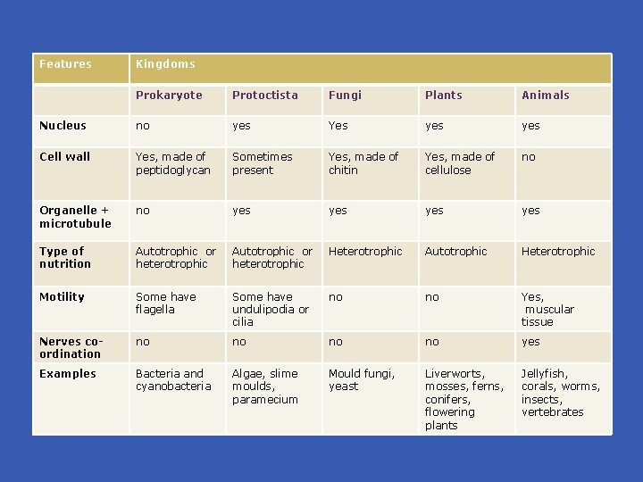 Features Kingdoms Prokaryote Protoctista Fungi Plants Animals Nucleus no yes Yes yes Cell wall