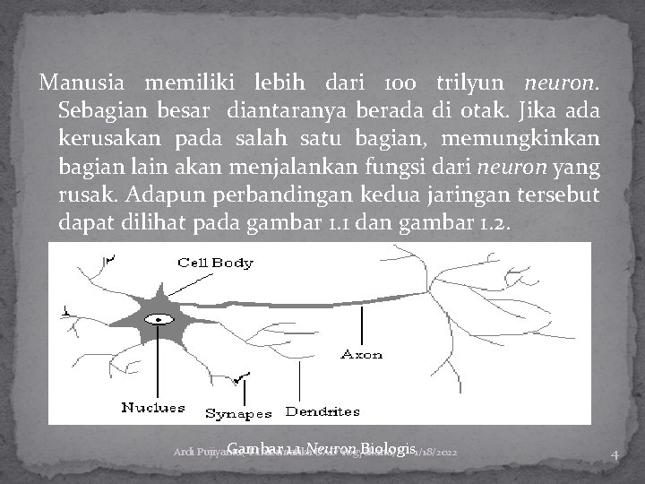 Manusia memiliki lebih dari 100 trilyun neuron. Sebagian besar diantaranya berada di otak. Jika