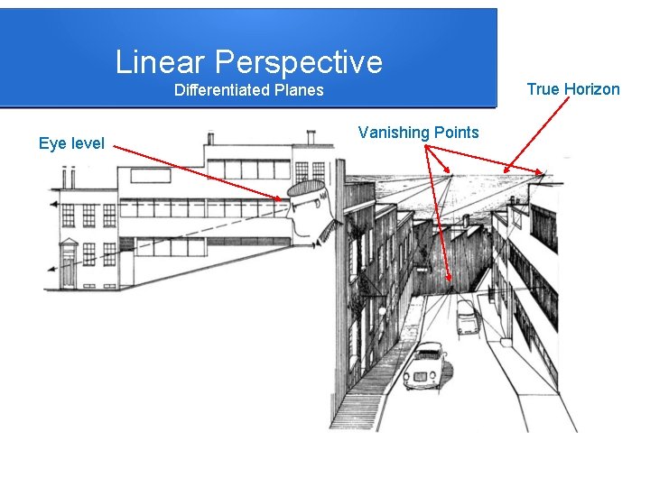 Linear Perspective True Horizon Differentiated Planes Eye level Vanishing Points 