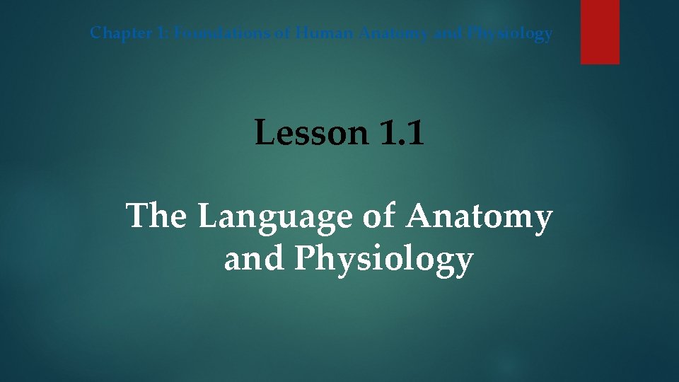 Chapter 1: Foundations of Human Anatomy and Physiology Lesson 1. 1 The Language of