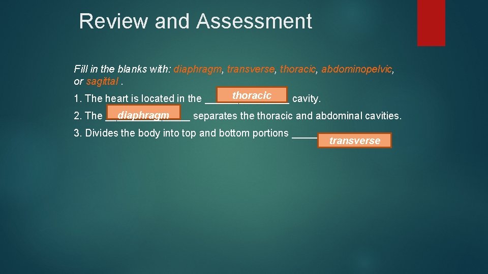 Review and Assessment Fill in the blanks with: diaphragm, transverse, thoracic, abdominopelvic, or sagittal.