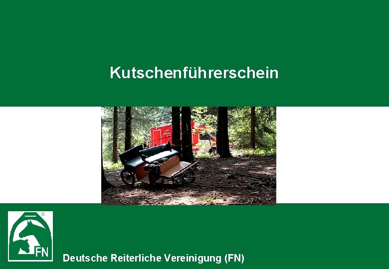 Kutschenführerschein Deutsche Reiterliche Vereinigung (FN) 