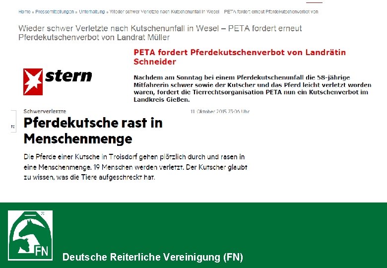 Deutsche Reiterliche Vereinigung (FN) 