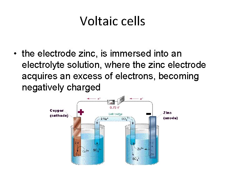 Voltaic cells • the electrode zinc, is immersed into an electrolyte solution, where the