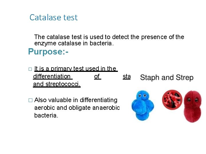 Catalase test The catalase test is used to detect the presence of the enzyme