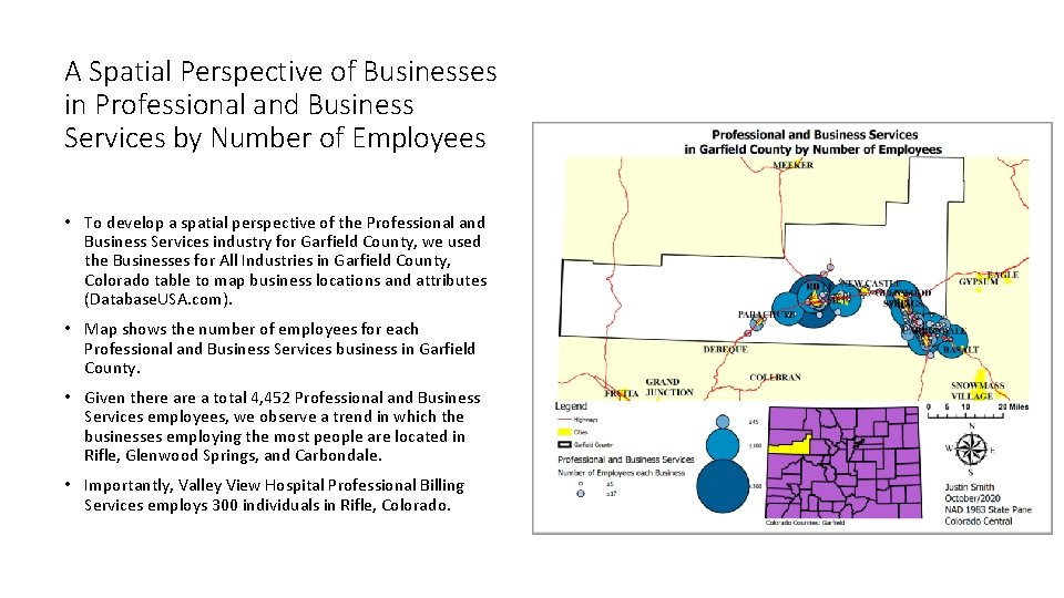 A Spatial Perspective of Businesses in Professional and Business Services by Number of Employees