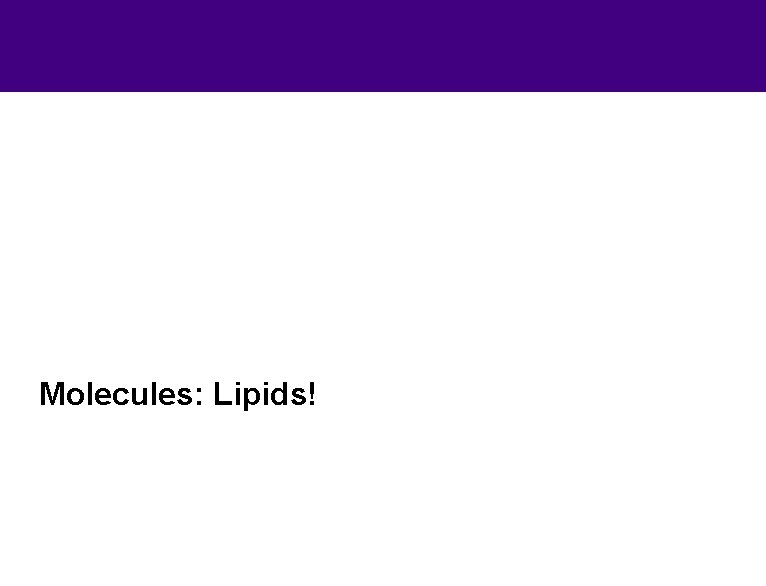 Molecules: Lipids! 