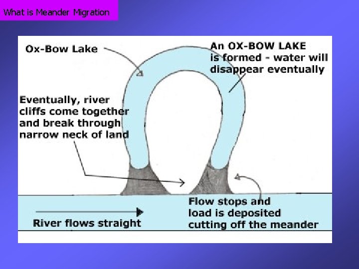 What is Meander Migration 