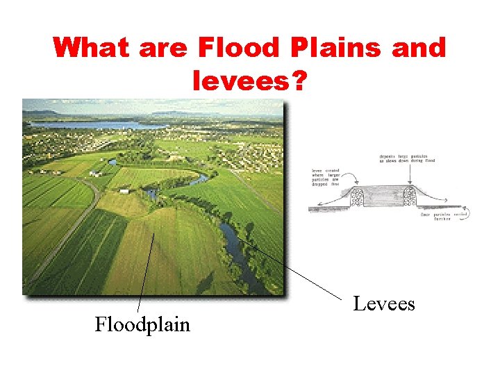 What are Flood Plains and levees? • Floodplain Levees 