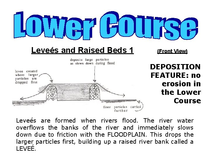 Leveés and Raised Beds 1 (Front View) DEPOSITION FEATURE: no erosion in the Lower