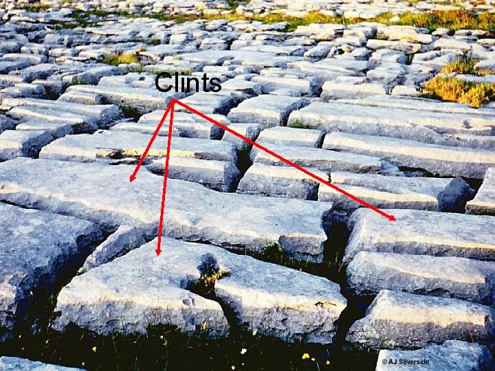 Clints 