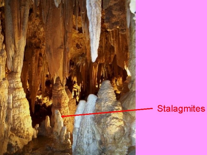 Stalagmites 