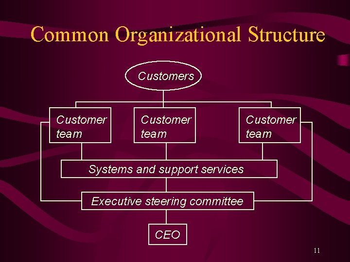 Common Organizational Structure Customers Customer team Systems and support services Executive steering committee CEO