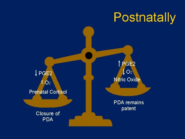 Postnatally PGE 2 O 2 Nitric Oxide Prenatal Cortisol Closure of PDA remains patent