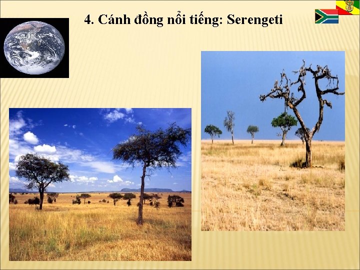 4. Cánh đồng nổi tiếng: Serengeti 