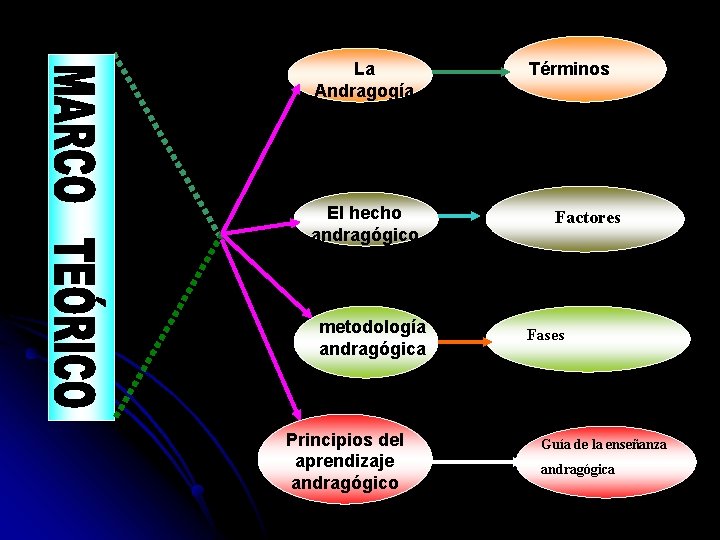 La Andragogía El hecho andragógico metodología andragógica Principios del aprendizaje andragógico Términos Factores Fases