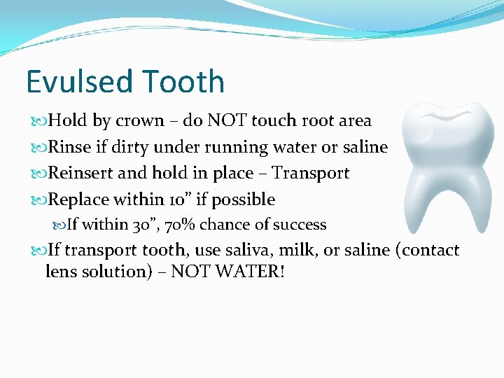 Evulsed Tooth Hold by crown – do NOT touch root area Rinse if dirty