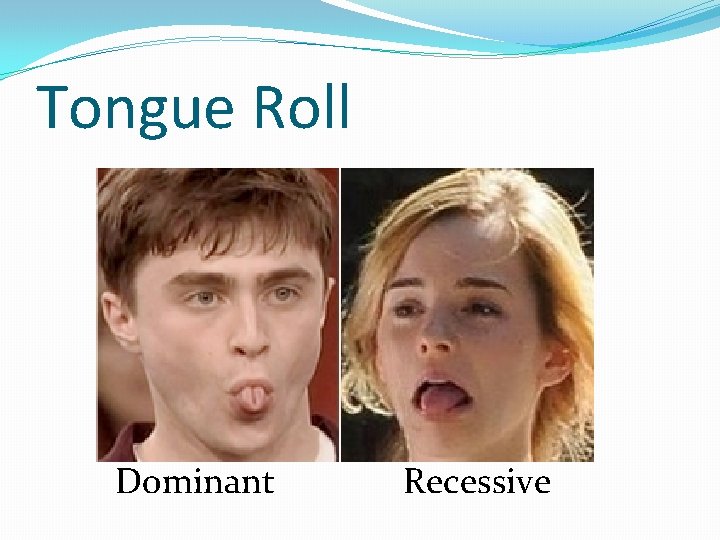 Tongue Roll Dominant Recessive 