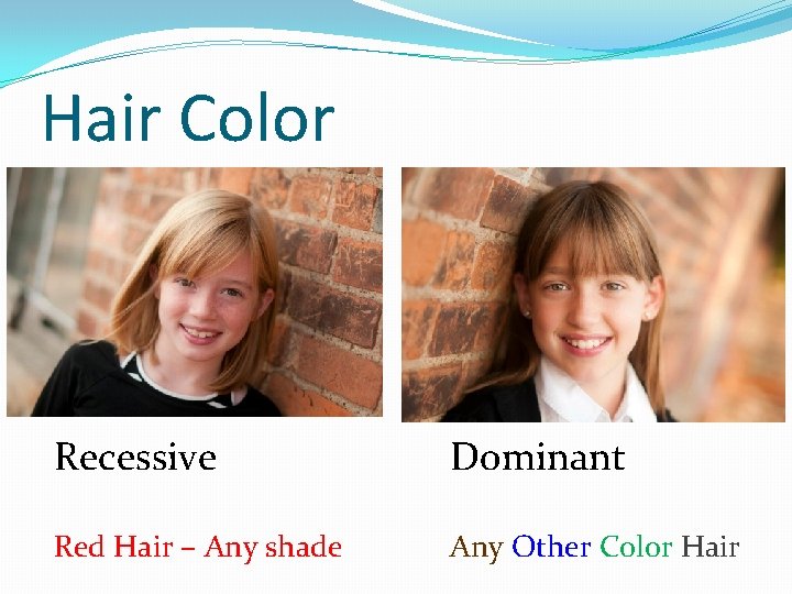 Hair Color Recessive Dominant Red Hair – Any shade Any Other Color Hair 