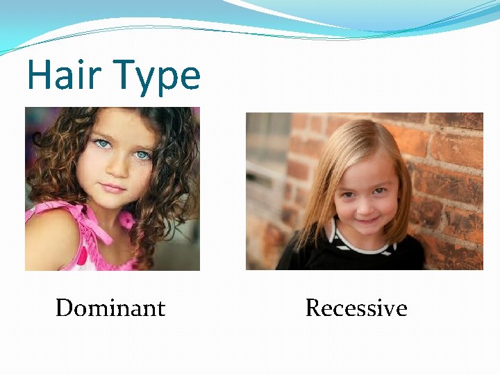 Hair Type Dominant Recessive 