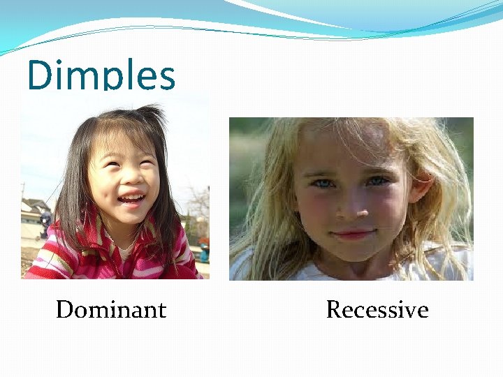 Dimples Dominant Recessive 