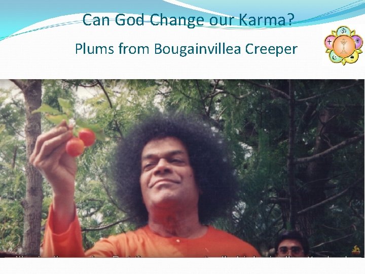 Can God Change our Karma? Plums from Bougainvillea Creeper 