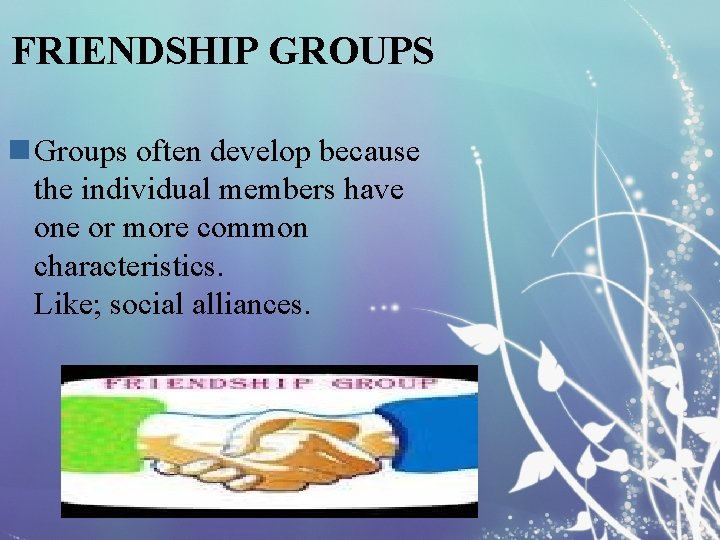 FRIENDSHIP GROUPS n Groups often develop because the individual members have one or more