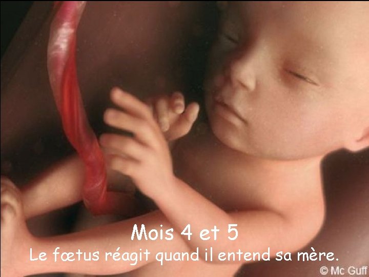 Mois 4 et 5 Le fœtus réagit quand il entend sa mère. 