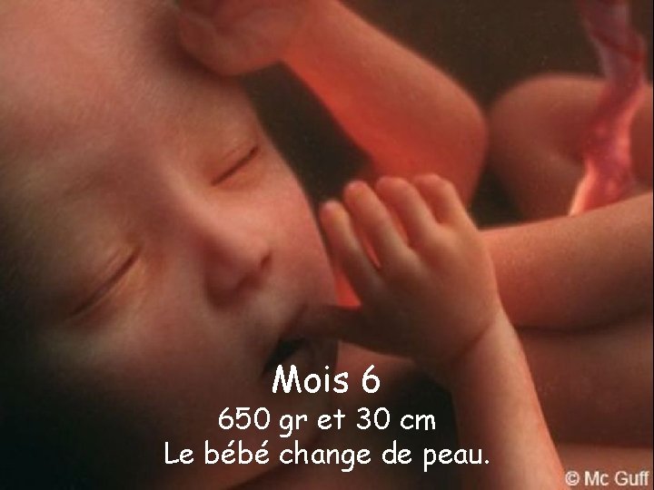 Mois 6 650 gr et 30 cm Le bébé change de peau. 