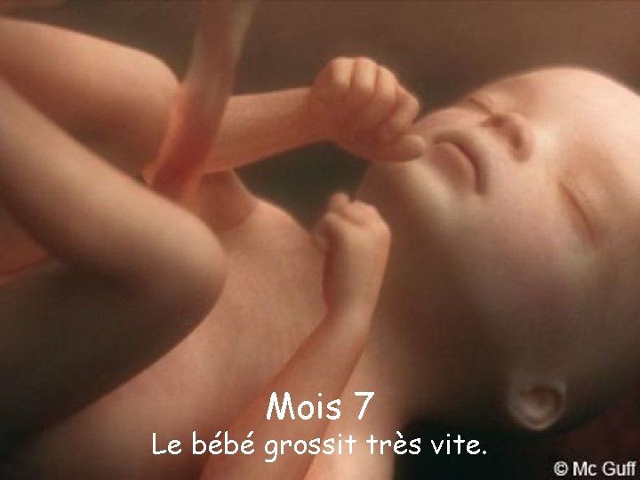 Mois 7 Le bébé grossit très vite. 