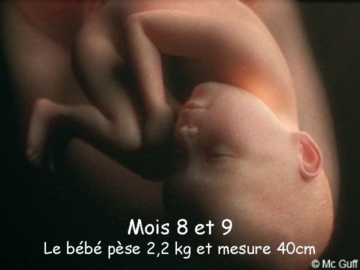 Mois 8 et 9 Le bébé pèse 2, 2 kg et mesure 40 cm