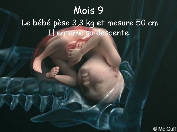 Mois 9 Le bébé pèse 3, 3 kg et mesure 50 cm Il entame