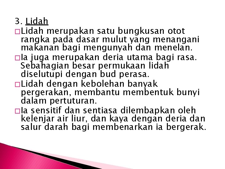 3. Lidah � Lidah merupakan satu bungkusan otot rangka pada dasar mulut yang menangani