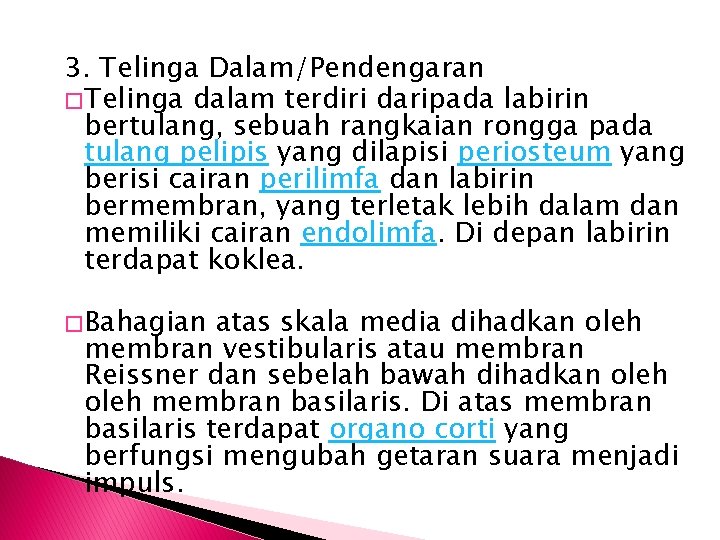 3. Telinga Dalam/Pendengaran � Telinga dalam terdiri daripada labirin bertulang, sebuah rangkaian rongga pada