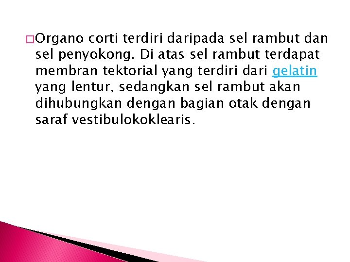 � Organo corti terdiri daripada sel rambut dan sel penyokong. Di atas sel rambut