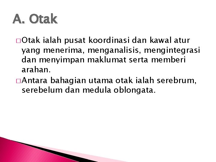 A. Otak � Otak ialah pusat koordinasi dan kawal atur yang menerima, menganalisis, mengintegrasi