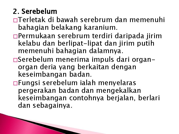 2. Serebelum � Terletak di bawah serebrum dan memenuhi bahagian belakang karanium. � Permukaan