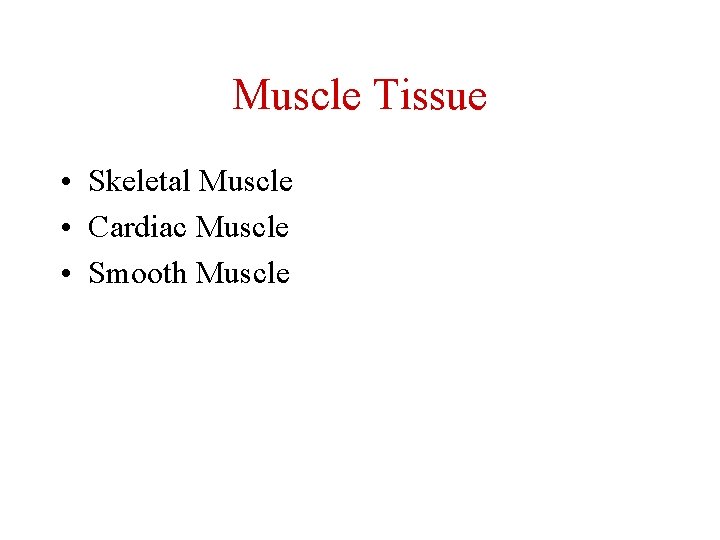Muscle Tissue • Skeletal Muscle • Cardiac Muscle • Smooth Muscle 