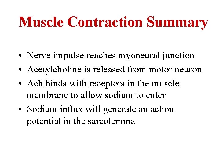 Muscle Contraction Summary • Nerve impulse reaches myoneural junction • Acetylcholine is released from