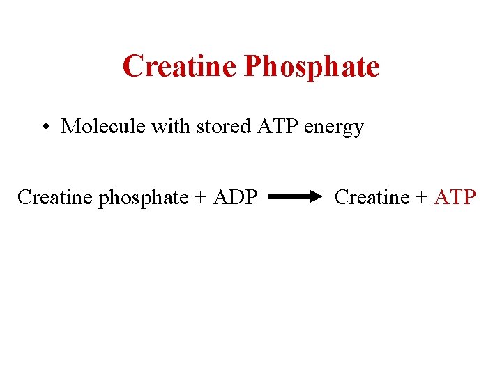 Creatine Phosphate • Molecule with stored ATP energy Creatine phosphate + ADP Creatine +