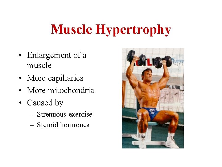 Muscle Hypertrophy • Enlargement of a muscle • More capillaries • More mitochondria •