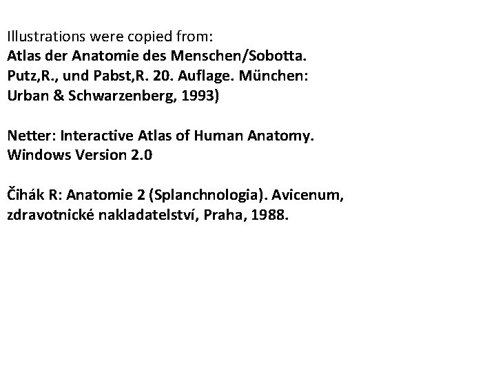 Illustrations were copied from: Atlas der Anatomie des Menschen/Sobotta. Putz, R. , und Pabst, Illustrations were copied from: Atlas der Anatomie des Menschen/Sobotta. Putz, R. , und Pabst,