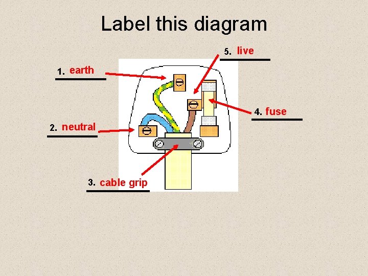 Label this diagram 5. live 1. earth 4. fuse 2. neutral 3. cable grip