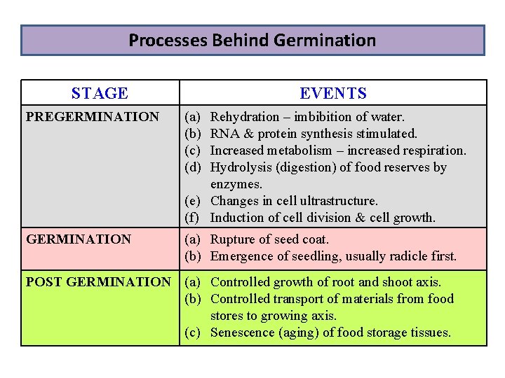 Processes Behind Germination STAGE EVENTS PREGERMINATION (a) (b) (c) (d) GERMINATION (a) Rupture of