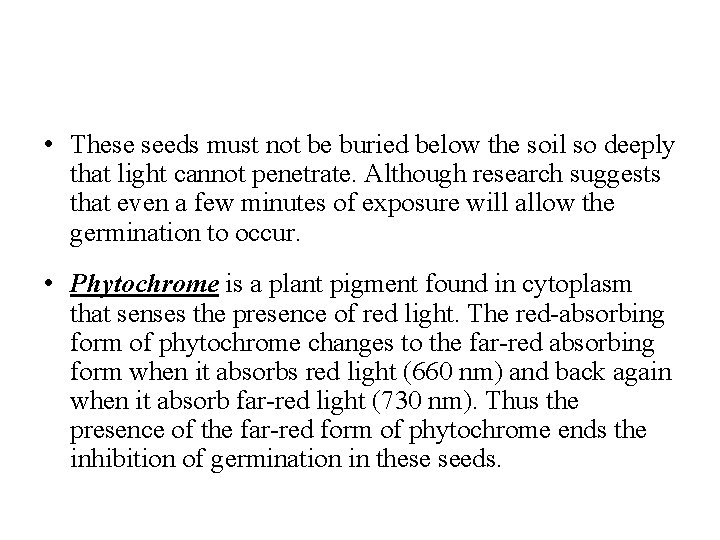  • These seeds must not be buried below the soil so deeply that