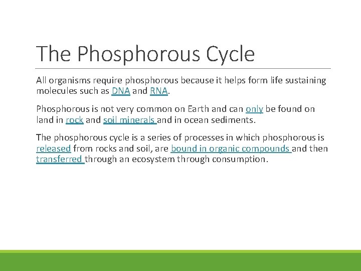 The Phosphorous Cycle All organisms require phosphorous because it helps form life sustaining molecules