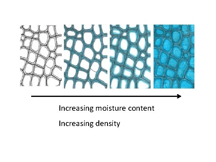 Increasing moisture content Increasing density 